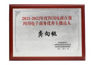 2021-2022年度四川电商百强四川电子商务优秀主播达人