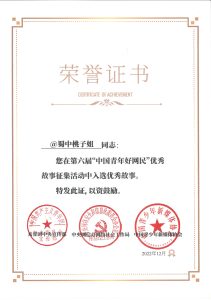 2022.12中国青年好网民荣誉证书