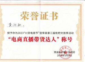 2023.05电商直播带货达人（新桥）